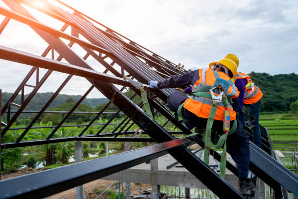 Best Metal Roofing Contractor  in Skagway, AK