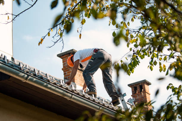 Best New Roof Installation  in Skagway, AK