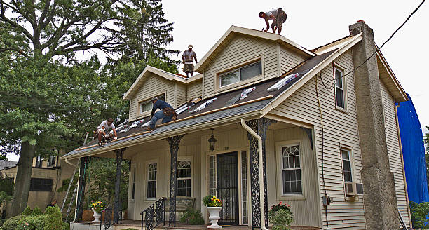 Best Roof Repair Services  in Skagway, AK