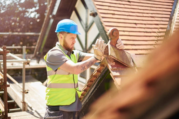 Best Shingle Roofing Installation  in Skagway, AK